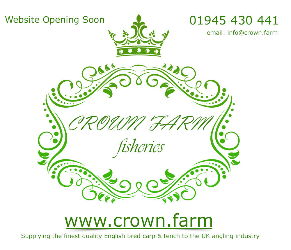crown farm fisheries